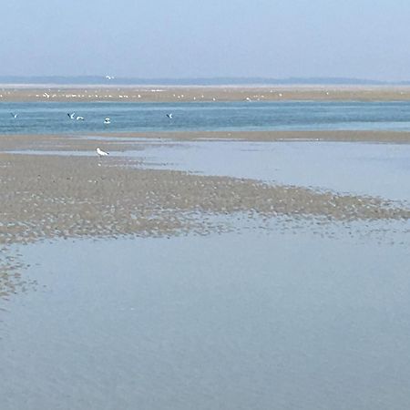 Maison De Pecheur Renovee A 3 Mn De La Mer. Cayeux-sur-Mer Eksteriør billede