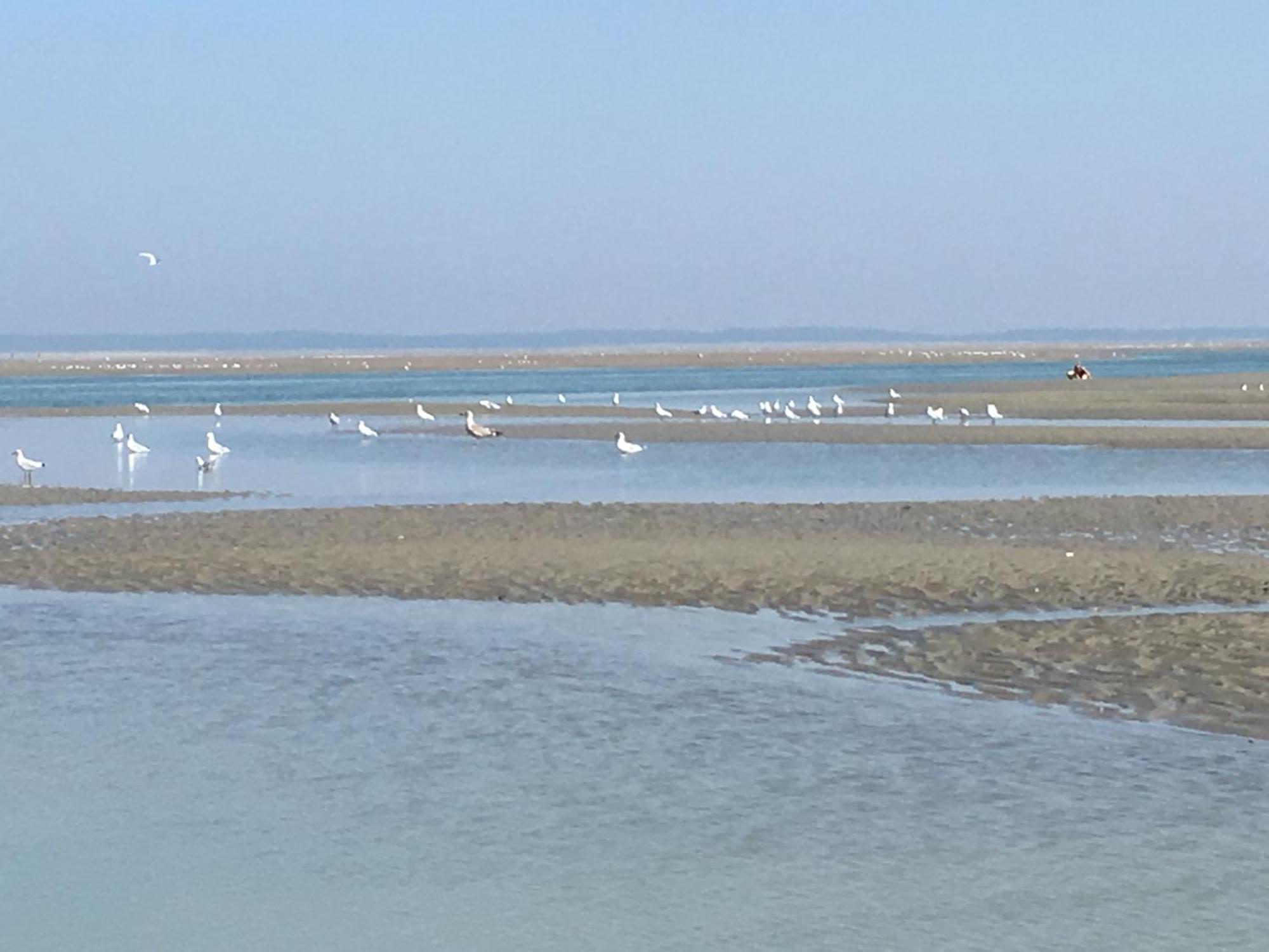 Maison De Pecheur Renovee A 3 Mn De La Mer. Cayeux-sur-Mer Eksteriør billede
