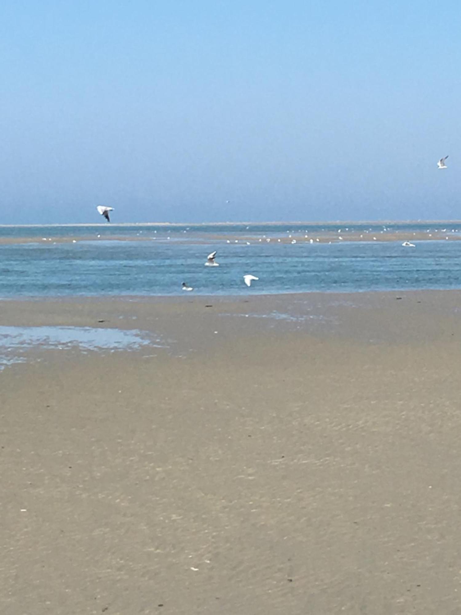 Maison De Pecheur Renovee A 3 Mn De La Mer. Cayeux-sur-Mer Eksteriør billede
