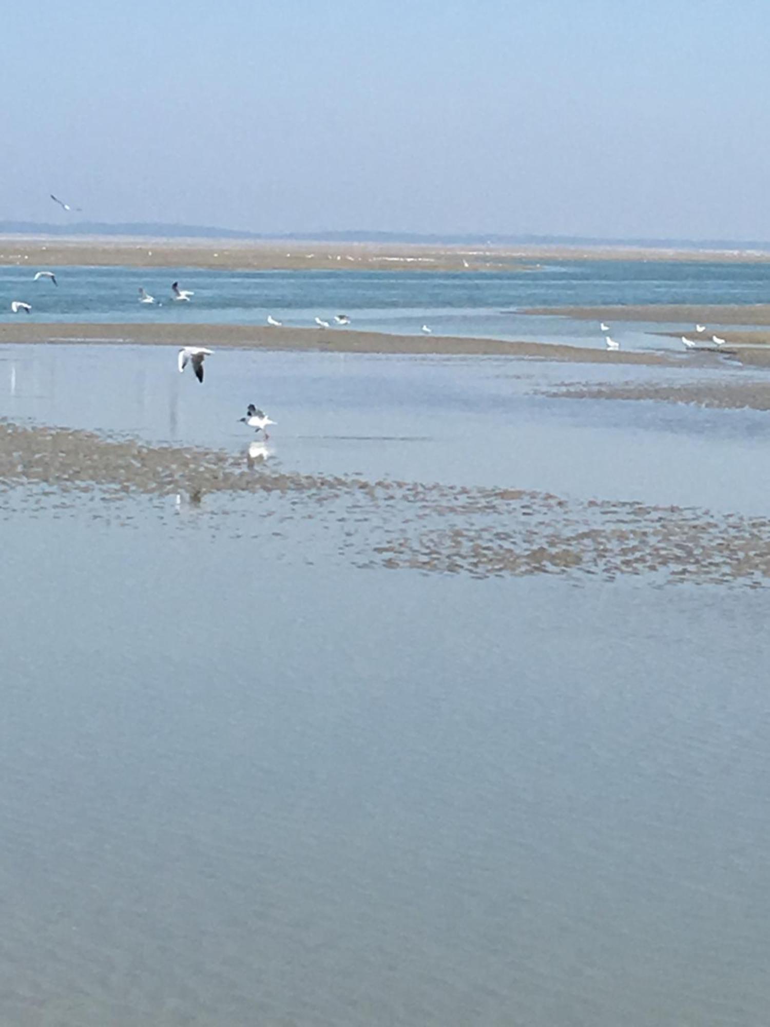 Maison De Pecheur Renovee A 3 Mn De La Mer. Cayeux-sur-Mer Eksteriør billede