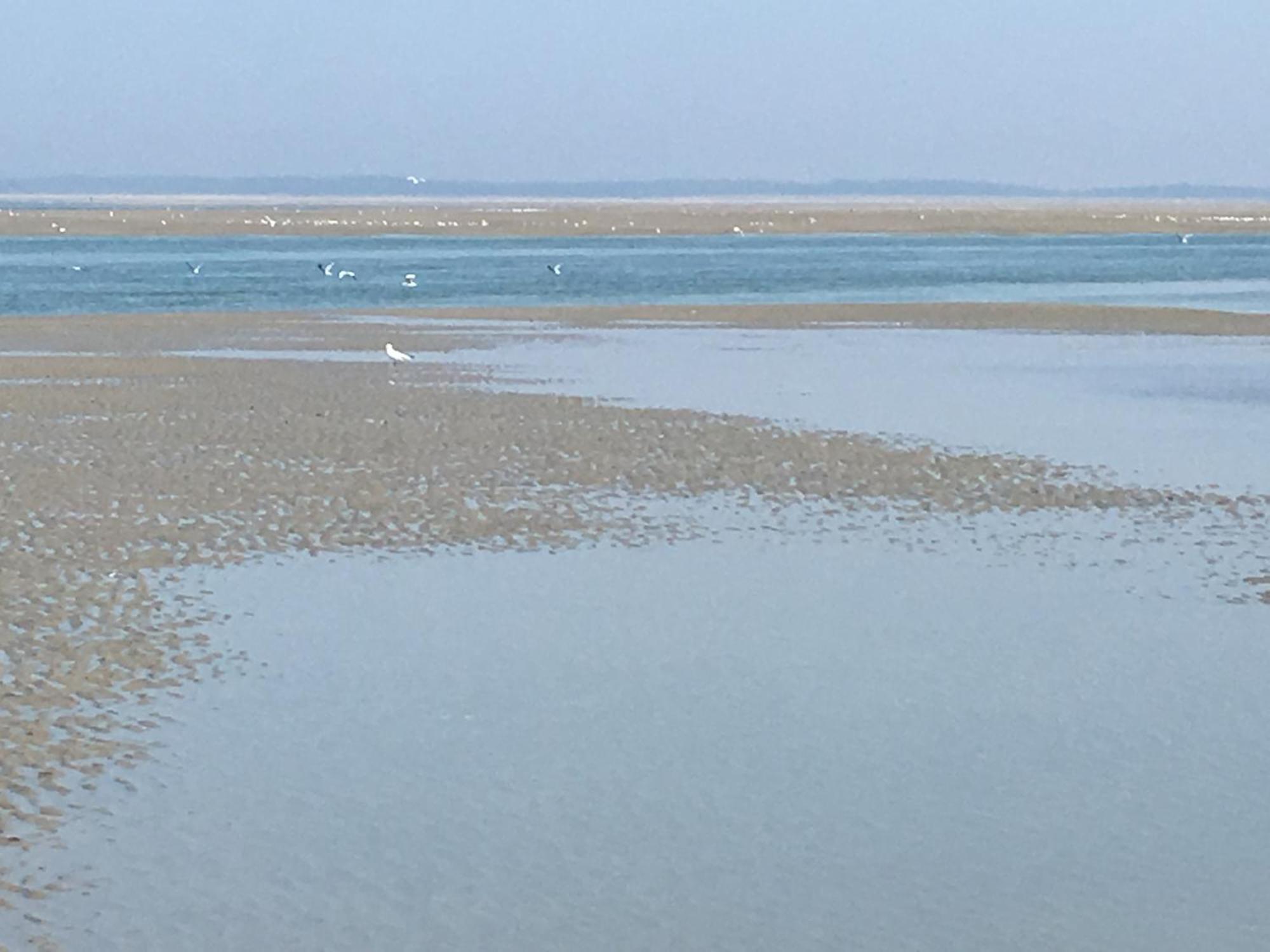 Maison De Pecheur Renovee A 3 Mn De La Mer. Cayeux-sur-Mer Eksteriør billede